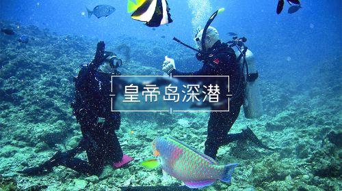逃出昏暗的地下室2